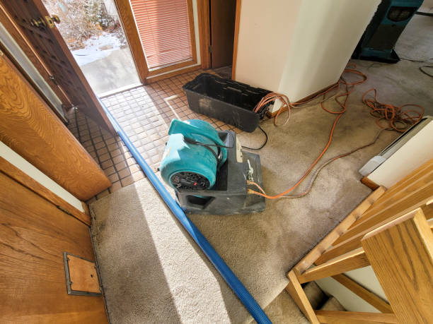 Best Water damage contractors near me  in Marceline, MO