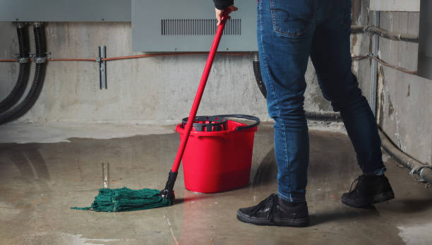 Best Fire Damage Restoration  in Marceline, MO