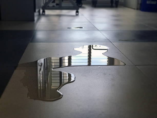 Best Carpet water damage restoration  in Marceline, MO