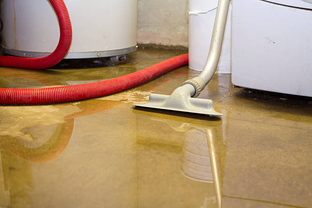 Best Commercial water damage restoration  in Marceline, MO