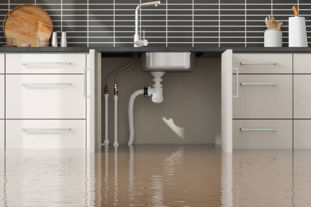  Marceline, MO Water damage restoration Pros