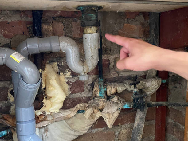 Best Basement water damage restoration  in Marceline, MO