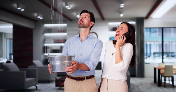 Best Professional water damage repair  in Marceline, MO